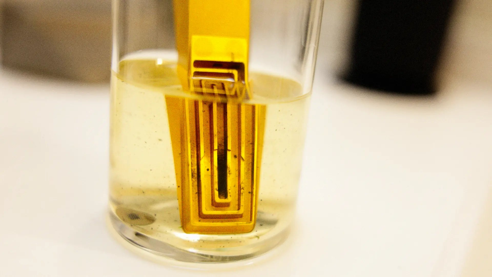 the dirty labyrinth pathway of a tempest pipe submerged in a glass with isopropyl alcohol